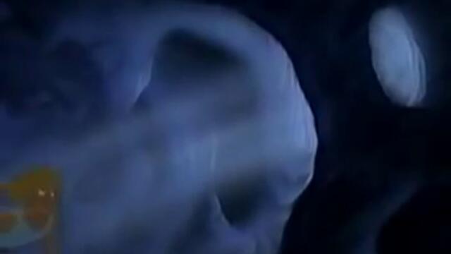 y2mate.com - Sheena Easton  A Dream Worth Keeping Ferngully OST_360p