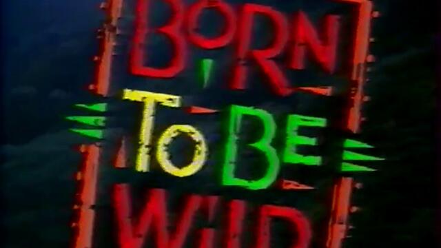 Повикът на дивото (1995) (бг аудио) (част 1) TV-VHS Rip Канал 1 20.11.1999