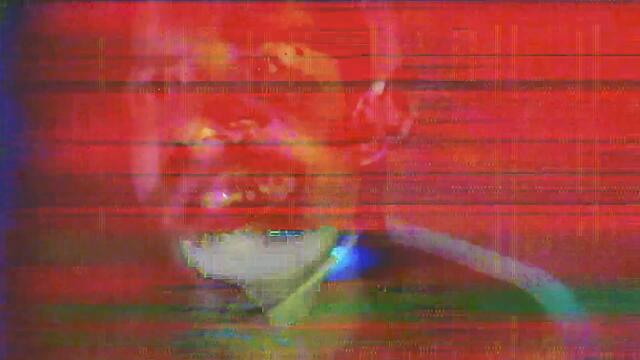 VIRGIN BIRTH - "What A Career!"