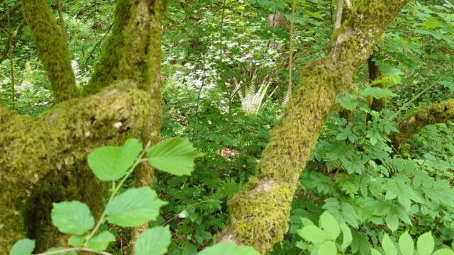 Ghost Poetry (Feat. Elle) - Duality [Official Music Video]