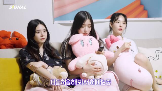 (드디어) 공포 영화 보는 날 | EN JP CN ID | SIGNAL 230711