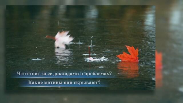 Видео свидетельства 2023 | Хорошее выполнение долга требует честности