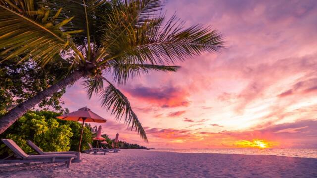 Stereo Love (Arzi Remix)