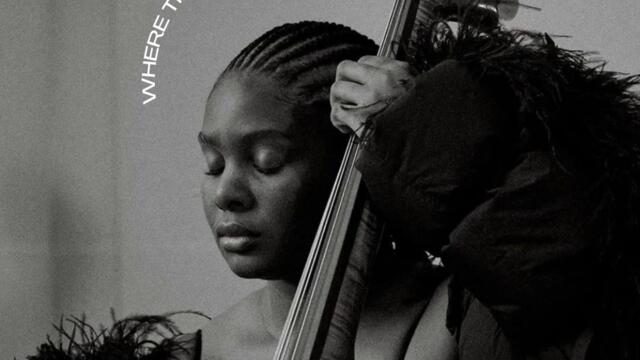 Where The Nubians Grow