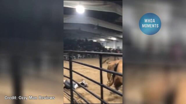 When Humans Mess With The Wrong Animal