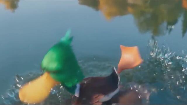 Migration - Official Trailer