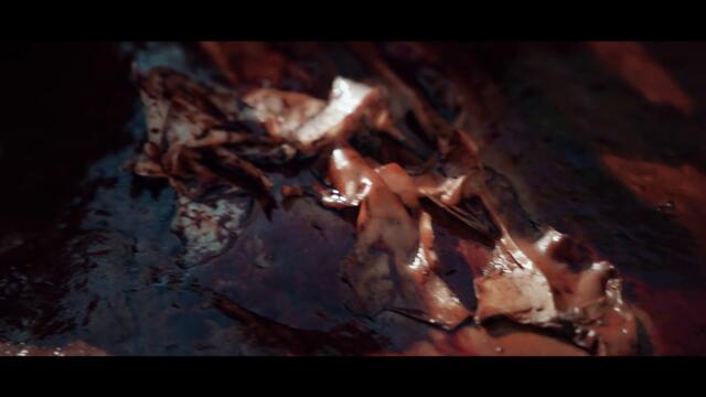 GENUS ORDINIS DEI - Changing Star (OFFICIAL VIDEO) Episode 1/4 of 'The Beginning'