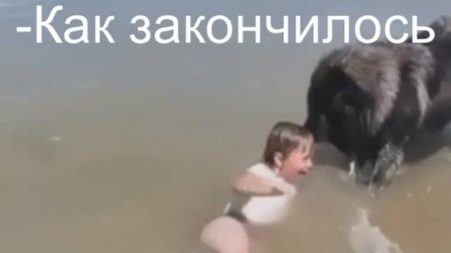 Вот и лето пролетело, скоро в школу видео смотреть онлайн бесплатно