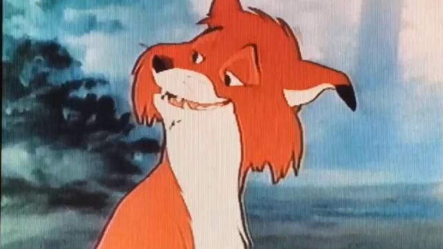 bandicam 2023-03-29 14-12-19-304