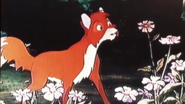 bandicam 2023-04-01 11-41-29-867