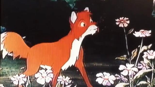 bandicam 2023-04-01 17-51-17-476