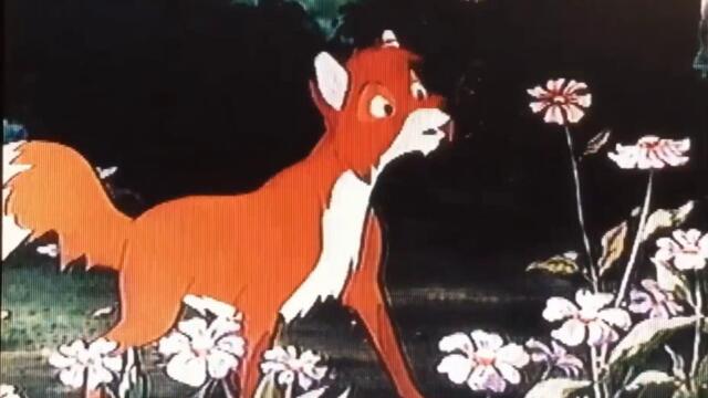 bandicam 2023-04-08 15-53-30-263