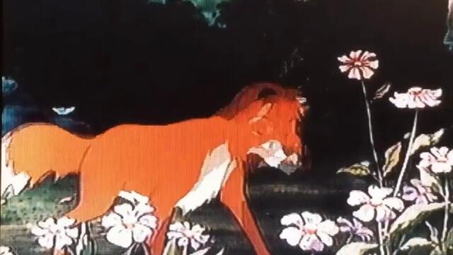 bandicam 2023-04-10 00-40-08-001