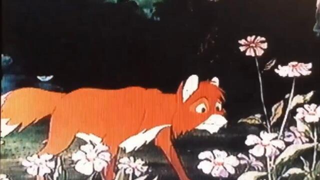 bandicam 2023-04-18 21-57-58-926