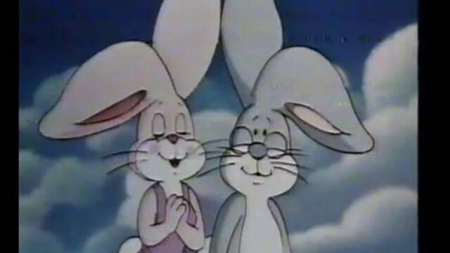 y2mate.com - American Rabbit_480p