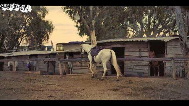 Κώστας Μαρτάκης – Κέρμα - монета