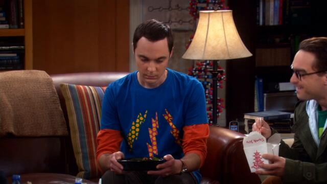 The Big Bang Theory S02E20