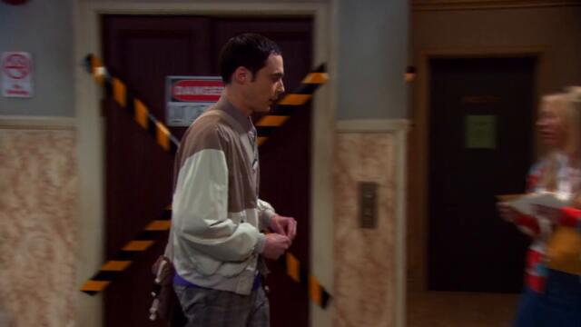 The Big Bang Theory s03e20