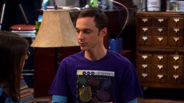 The.Big.Bang.Theory.S04E03.720p