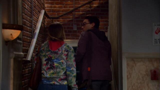 The Big Bang Theory s05e09