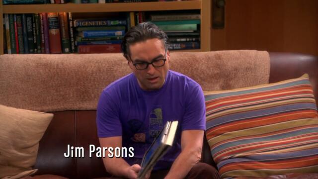 The Big Bang Theory s06e15