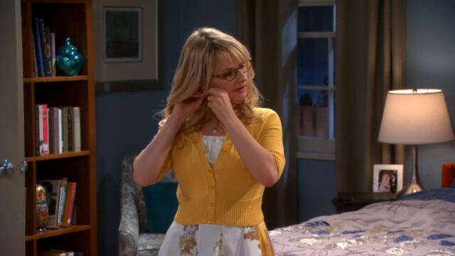 The Big Bang Theory s06e19
