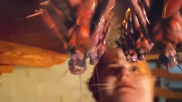 Cats (2019) Cockroach Scene