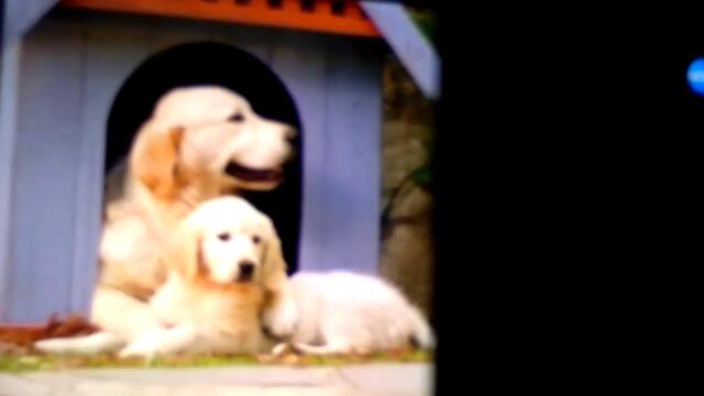 Наполеон (синхронен екип 2, дублаж по Нова телевизия на 15.07.2017 г.) (запис)