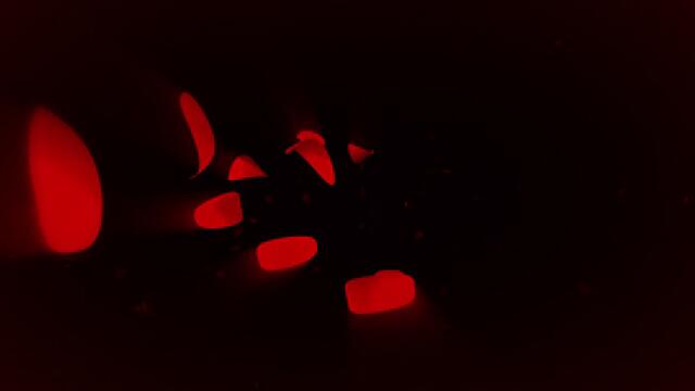 Бел и Себастиан Приключението продължава Belle et Sebastien, l'aventure continue   (2015) Бг Аудио Част 1