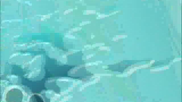 Вълнения_по_вълните_-_епизод_24