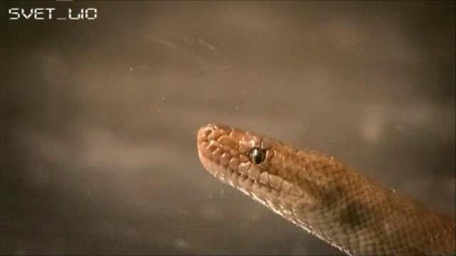 Страх_България_-_Епизод_1,_Част_3