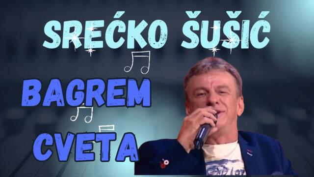 Srecko Susic - Bagrem Cveta