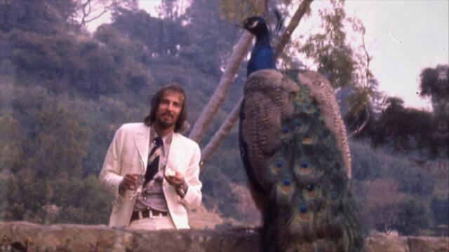 John Phillips - Jazz II (Visualizer)