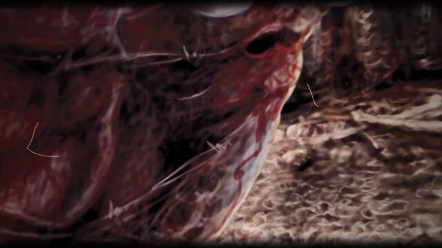 GORGASM - CARNAL DEMISE [OFFICIAL VISUALIZER] (2024) SW EXCLUSIVE