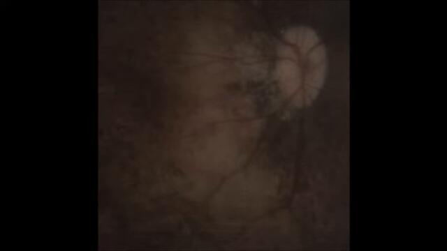 PALE SPEKTRE - Of Gaping Hollow's Grate