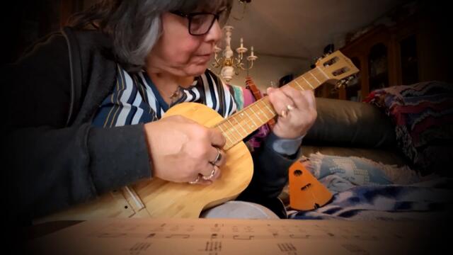 "Wildwood Flower" arranged for Ukulele by Terry Carter & McNally Strumstick arranged by me *by EAR !