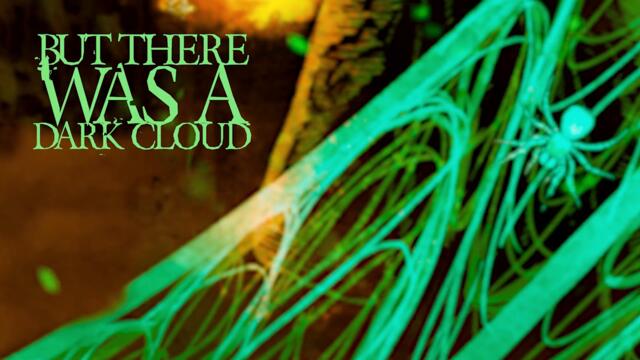 Emerald Eye - "Silken Throne" Official Lyric Video