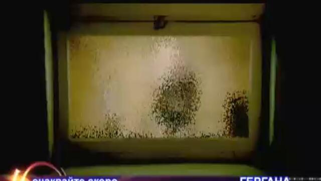 Gergana Razdqlata ne boli