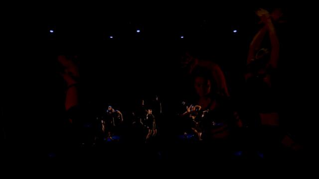 WHOLE NEW WORLD: FREE WILL (SECTION 3)