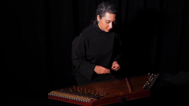 Prosperity by Saina Khaledi, santour