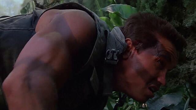 Beverly Hills Cop vs Arnold