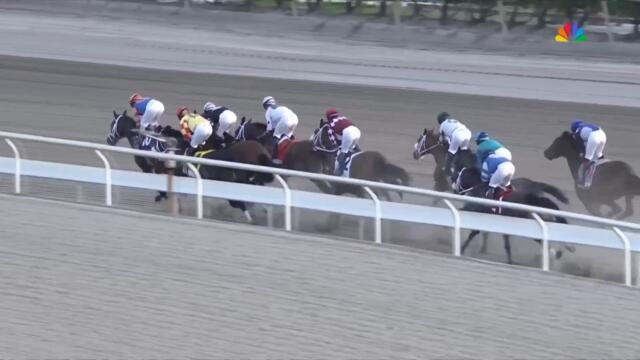 2024 Florida Derby (FULL RACE) | NBC Sports