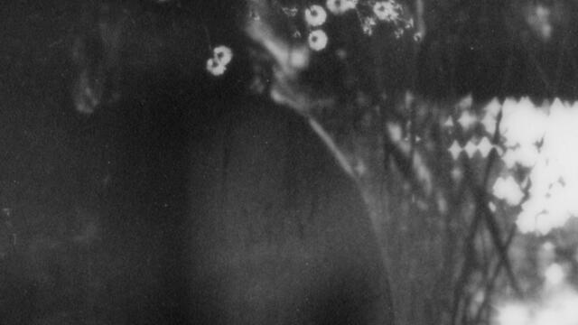 bicentennial quarters