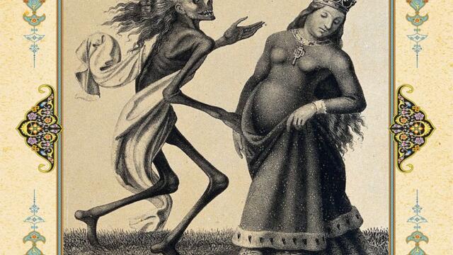 Infantem Nihil Cerebri