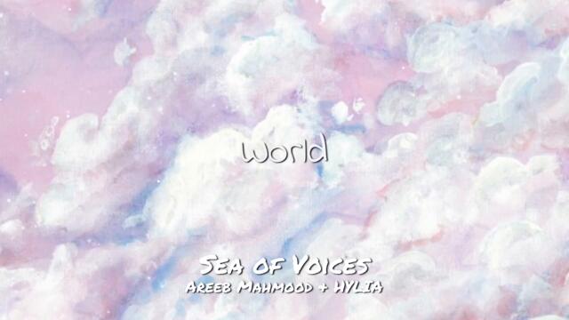 Porter Robinson - Sea of Voices (Areeb Mahmood & HYLIA Cover)