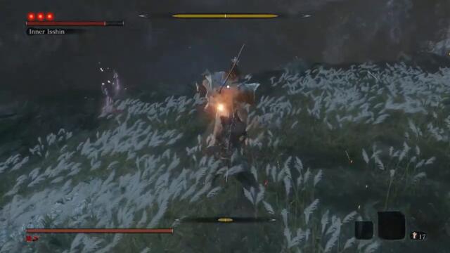 Killing Inner Isshin [Day 6]