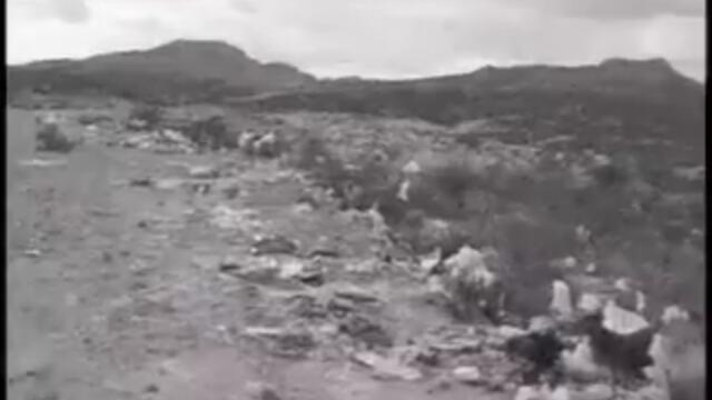 At The Drive-In - "Invalid Litter Dept."