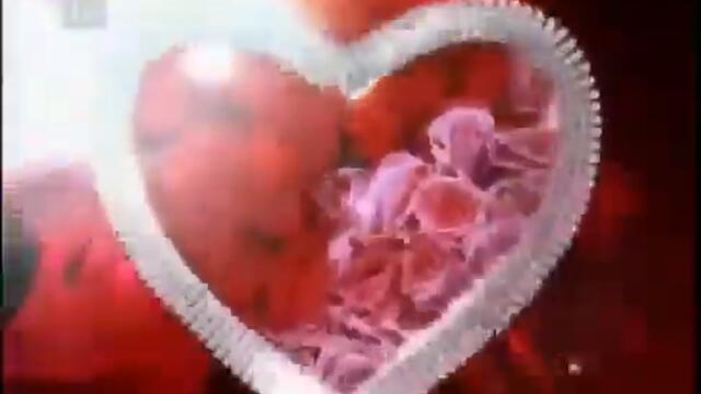 море от любов с музиката на като на 17 360p_360p