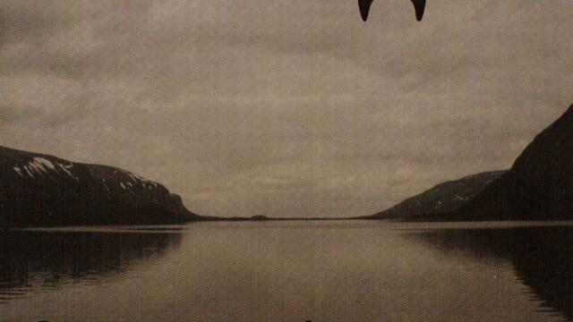 Волчьи тропы ведут на север