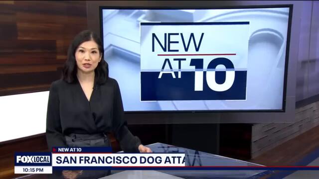 Pitbulls seen attacking San Francisco man who scales fence to survive